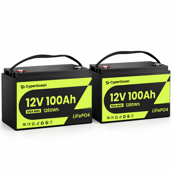 Комплект резервного живлення Daxtromn Power 3,5 кВт + 2&times; CyperOcean LiFePO4 12,8V 100Ah, 2,56 кВт&middot;год DAX-3500W-2X100AH-CYP фото
