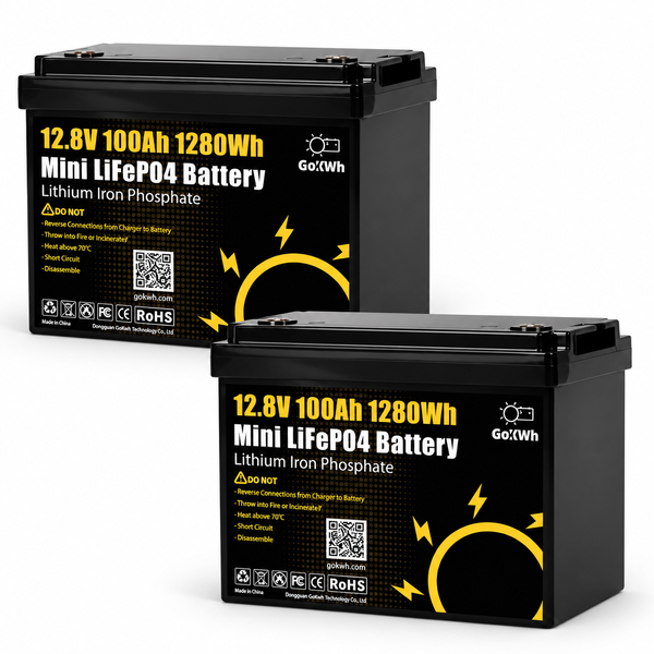 Комплект резервного живлення Daxtromn Power 3,5 кВт + 2&times; GoKWh Mini LiFePO4 12,8V 100Ah, 2,56 кВт&middot;год DAX-3500W-2X100AH-GOK фото