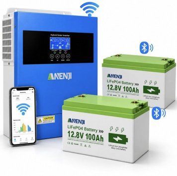 Комплект резервного живлення Anenji 4,2 кВт 24 В Wi-Fi + 2 LiFePO4 12,8 В 100 А&middot;год Bluetooth ANJ-4200W-2X100AH-BT фото
