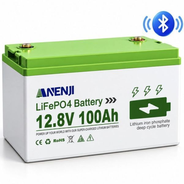 Комплект резервного живлення Anenji 4,2 кВт 24 В Wi-Fi + 2 LiFePO4 12,8 В 100 А&middot;год Bluetooth ANJ-4200W-2X100AH-BT фото