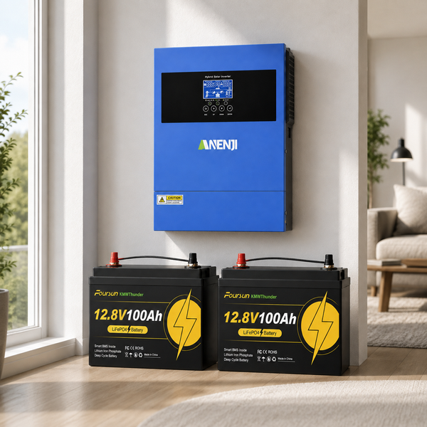 Комплект резервного живлення Anenji ANJ-4000W-24V 4200 Вт Wi-Fi, 24 В, 2&times;Foursun LiFePO4 100 А&middot;год ANJ-4000W-24V-2X100 фото