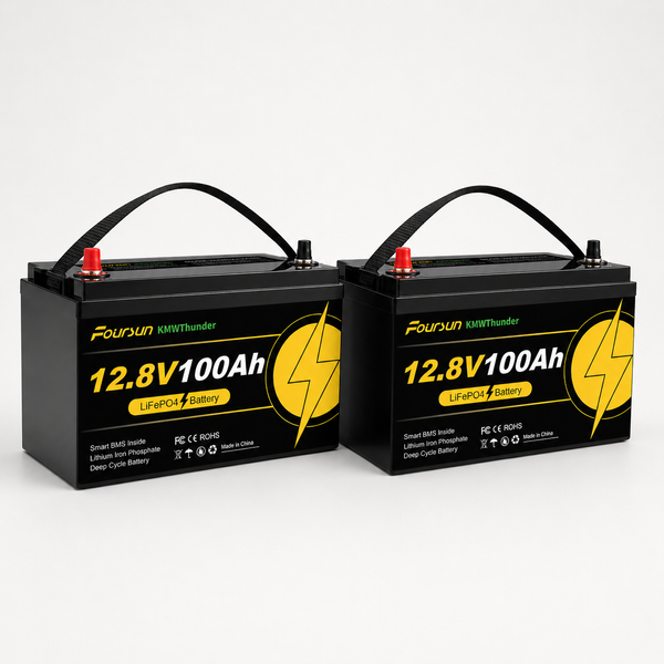Комплект резервного живлення Anenji ANJ-4000W-24V 4200 Вт Wi-Fi, 24 В, 2&times;Foursun LiFePO4 100 А&middot;год ANJ-4000W-24V-2X100 фото